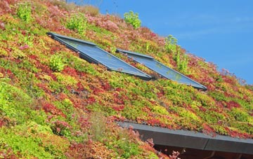 Upper Deal living roof systems
